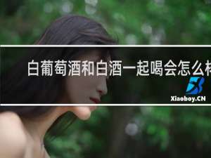 白葡萄酒和白酒一起喝会怎么样