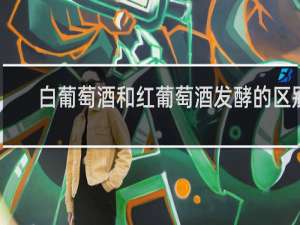 白葡萄酒和红葡萄酒发酵的区别
