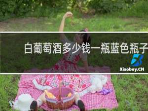 白葡萄酒多少钱一瓶蓝色瓶子