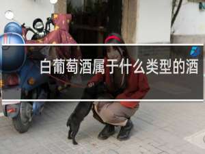 白葡萄酒属于什么类型的酒