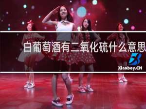 白葡萄酒有二氧化硫什么意思