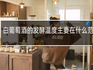 白葡萄酒的发酵温度主要在什么范围内