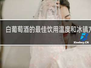 白葡萄酒的最佳饮用温度和冰镇方法