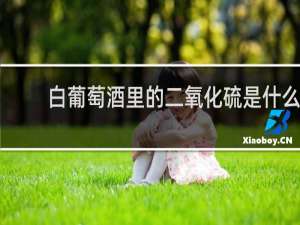 白葡萄酒里的二氧化硫是什么