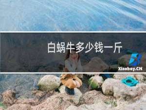 白蜗牛多少钱一斤