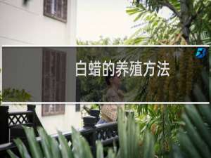 白蜡的养殖方法