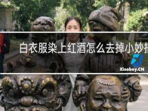 白衣服染上红酒怎么去掉小妙招
