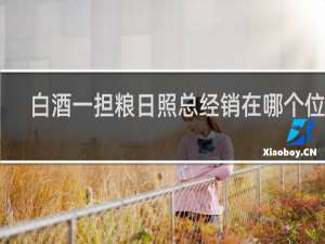 白酒一担粮日照总经销在哪个位置