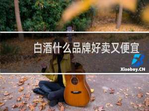 白酒什么品牌好卖又便宜