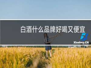 白酒什么品牌好喝又便宜