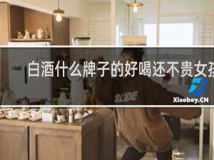白酒什么牌子的好喝还不贵女孩