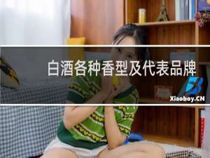 白酒各种香型及代表品牌