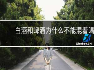 白酒和啤酒为什么不能混着喝