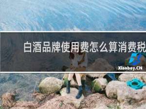 白酒品牌使用费怎么算消费税
