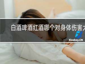 白酒啤酒红酒哪个对身体伤害大