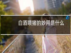 白酒喂猪的妙用是什么