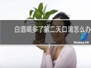 白酒喝多了第二天口渴怎么办