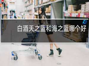 白酒天之蓝和海之蓝哪个好