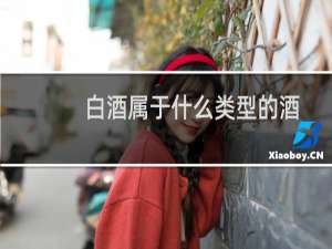 白酒属于什么类型的酒