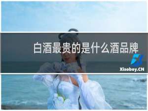 白酒最贵的是什么酒品牌