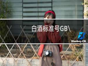 白酒标准号GB\\/T10781.1是什么意思