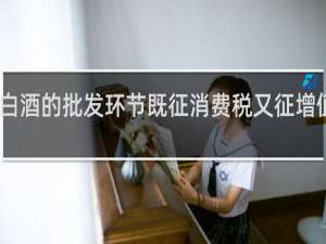 白酒的批发环节既征消费税又征增值税吗