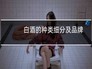 白酒的种类细分及品牌