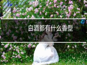 白酒都有什么香型