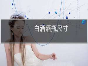 白酒酒瓶尺寸