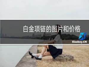 白金项链的图片和价格