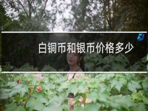 白铜币和银币价格多少