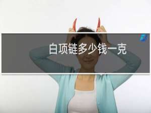 白项链多少钱一克