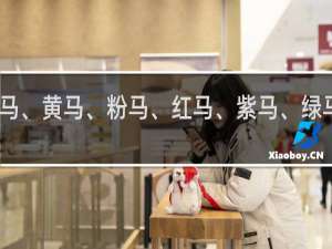 白马、黄马、粉马、红马、紫马、绿马什么梗