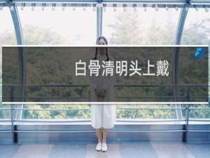 白骨清明头上戴，青春只值一两块。什么梗