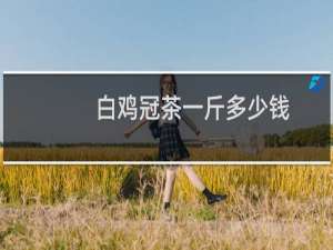 白鸡冠茶一斤多少钱