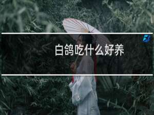 白鸽吃什么好养