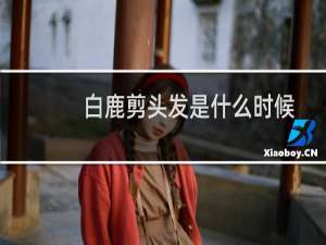 白鹿剪头发是什么时候