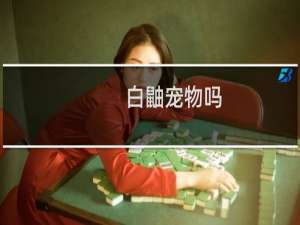 白鼬宠物吗