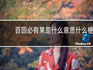 百因必有果是什么意思什么梗