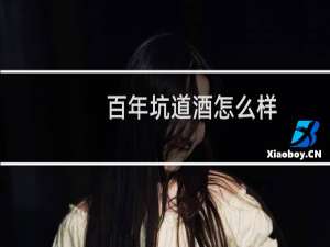 百年坑道酒怎么样
