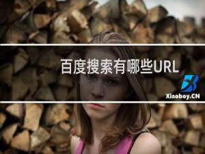 百度搜索有哪些URL参数呢？
