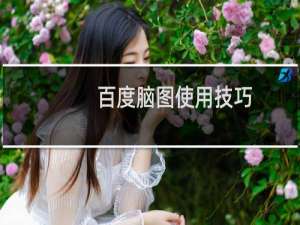 百度脑图使用技巧