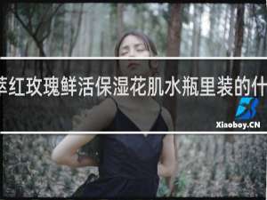 百花萃红玫瑰鲜活保湿花肌水瓶里装的什么样水图片