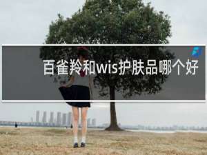 百雀羚和wis护肤品哪个好