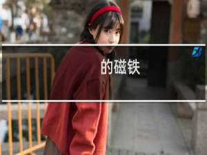 的磁铁