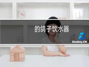 的鸽子饮水器