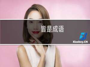 皆是成语