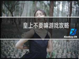 皇上不要嘛游戏攻略