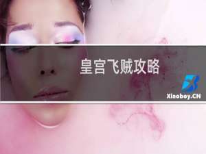 皇宫飞贼攻略