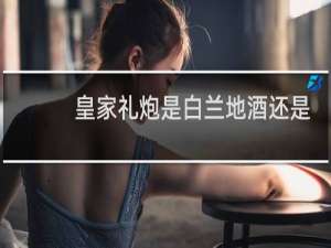 皇家礼炮是白兰地酒还是威士忌